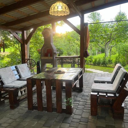 Hotel Окремий Будинок-Апартаменти Rakoshyno Exterior foto