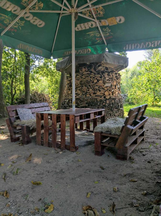 Hotel Окремий Будинок-Апартаменти Rakoshyno Exterior foto