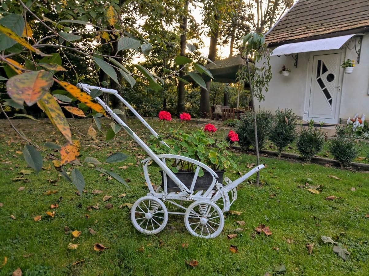 Hotel Окремий Будинок-Апартаменти Rakoshyno Exterior foto