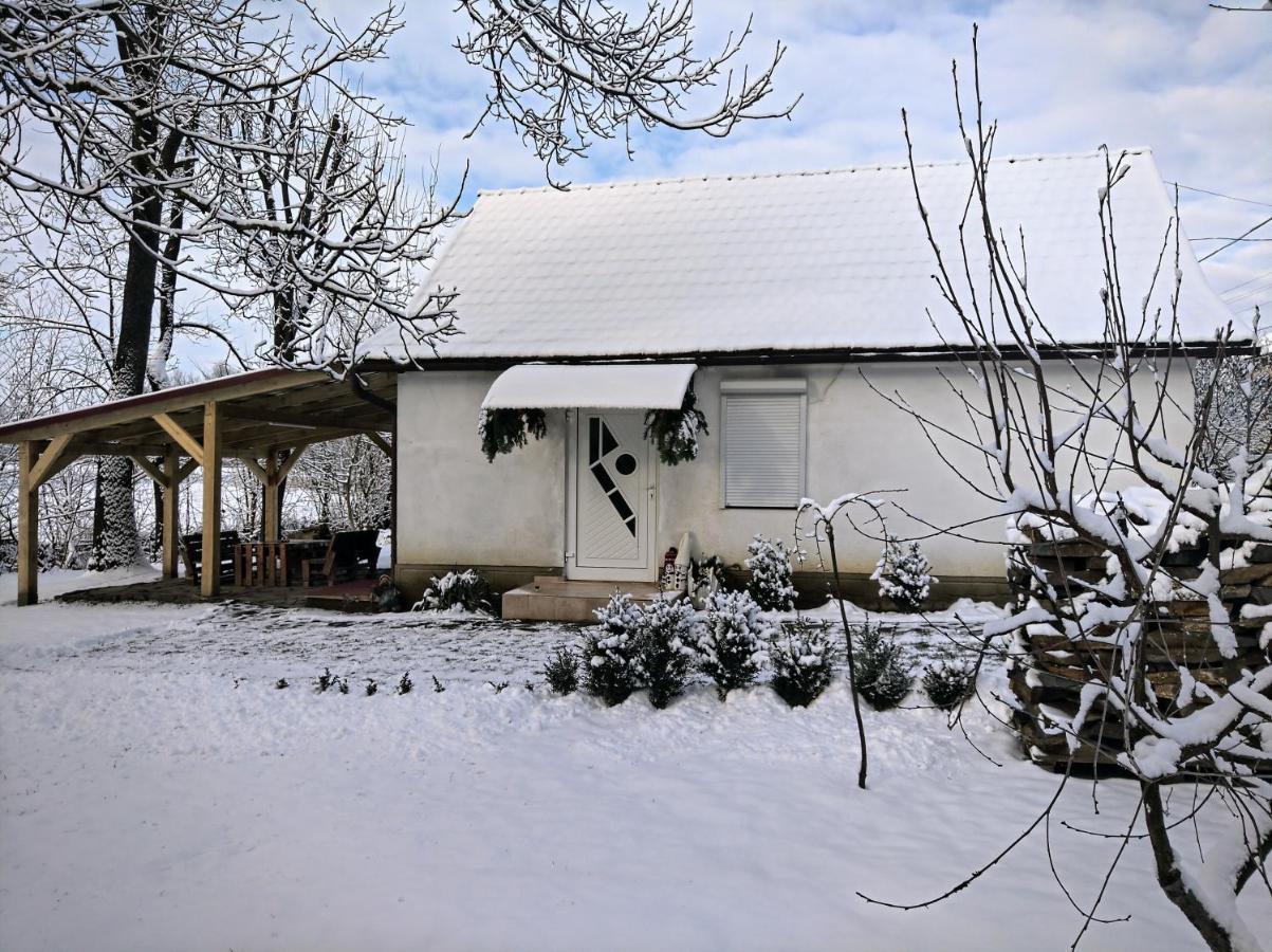 Hotel Окремий Будинок-Апартаменти Rakoshyno Exterior foto