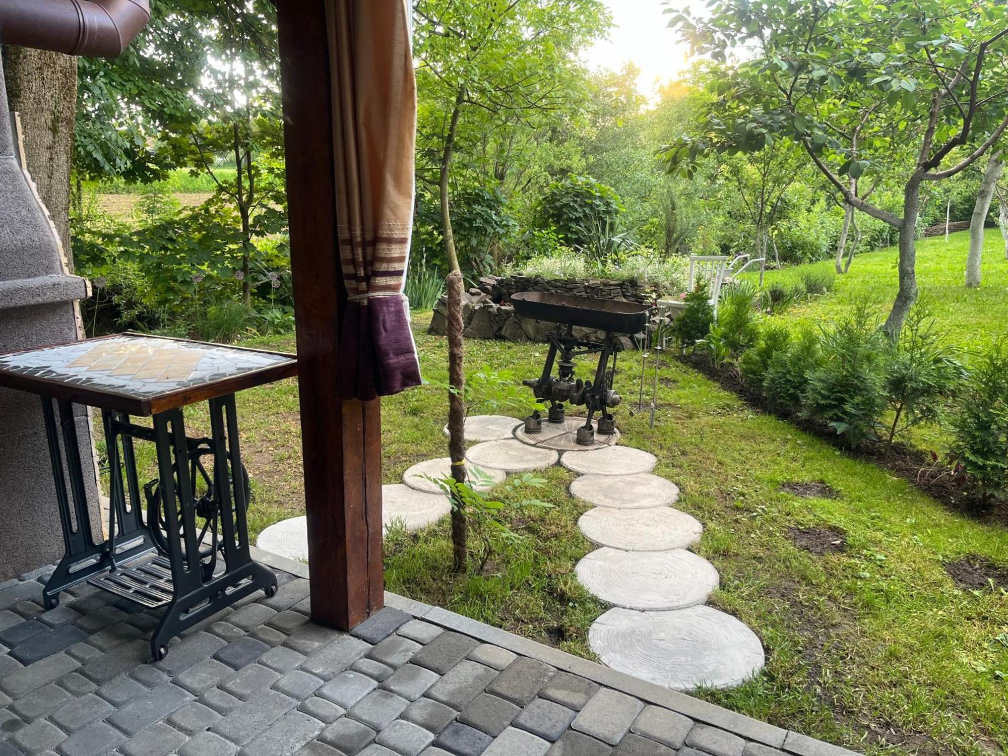 Hotel Окремий Будинок-Апартаменти Rakoshyno Exterior foto